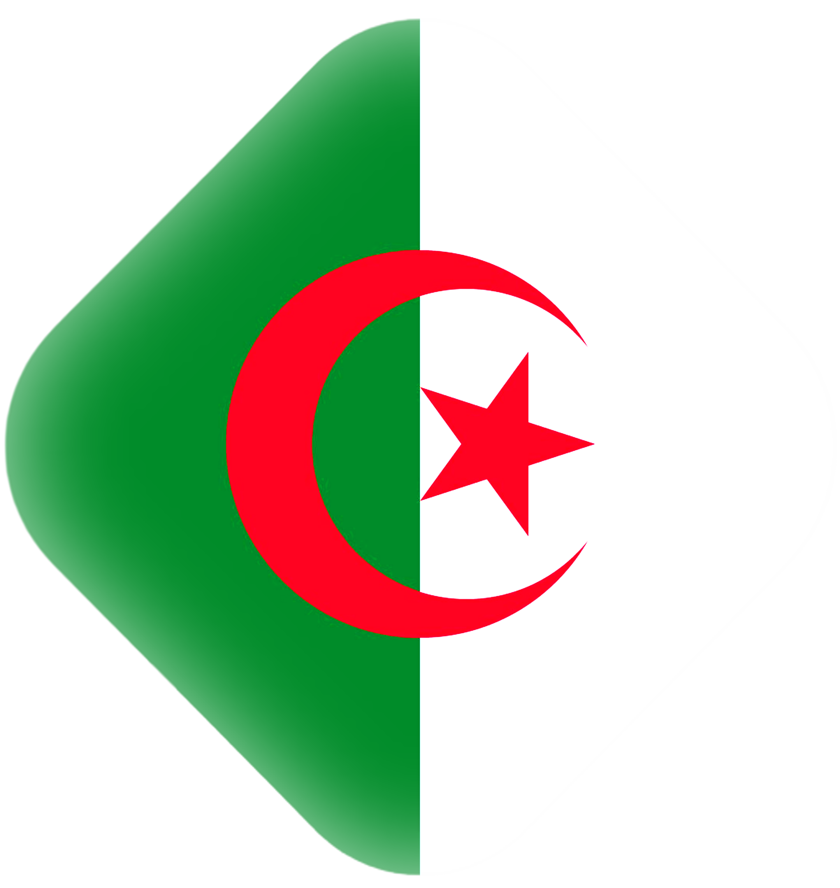 Algeria flag